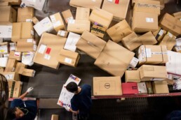holiday backorders