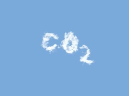 reduce e-commerce emissions