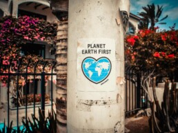 environmental impacts of e-commerce