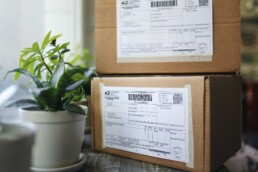Domestic Shipping Costs